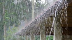 Prakiraan Cuaca di Indonesia Hari ini, 5 April 2023, BMKG : Kaltim, Kaltara dan Kalsel Hujan Lebat