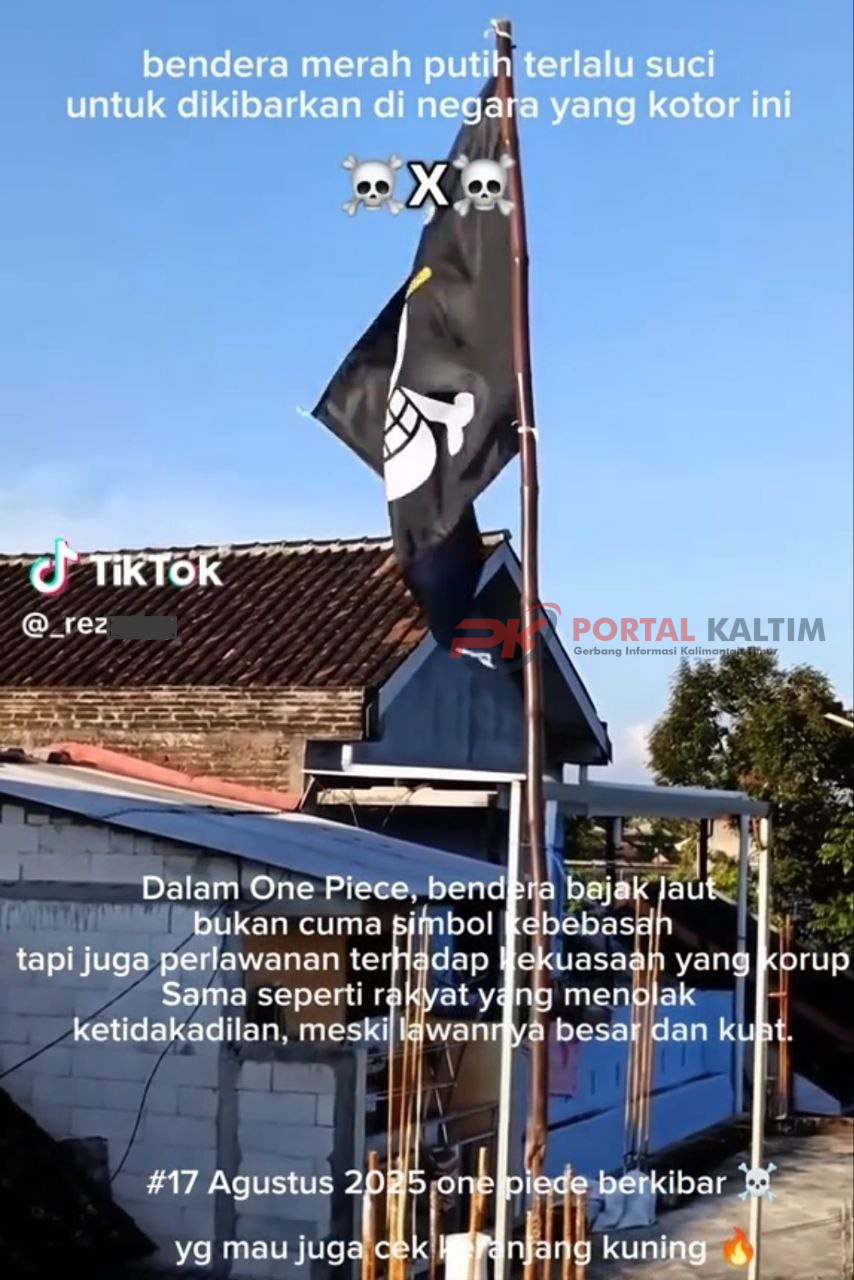 Salah satu masyarakat yang turut mengibarkan bendera bajak laut topi jerami tersebut beserta alasannya