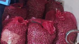 Barang bukti — Puluhan karung bawang putih, bawang merah, dan bawang bombay yang diamankan Polsek Samarinda Seberang dari kasus pencurian di Jalan Soekarno Hatta KM 1.