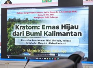 Kratom sebagai "emas hijau" dari Bumi Kalimantan (ist).