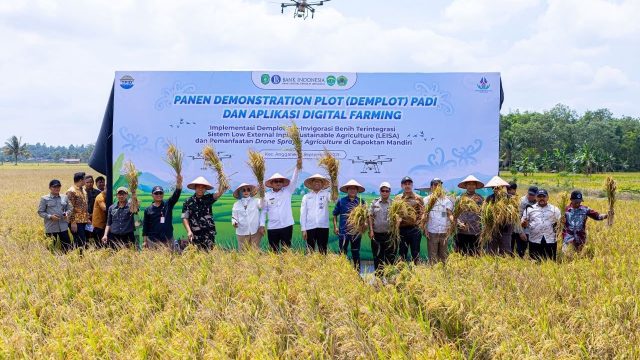 Penerapan digital farming melalui drone sprayer agriculture di Gapoktan Mandiri, Kecamatan Anggana, Kutai Kartanegara, menjadi bagian dari upaya meningkatkan efisiensi dan produktivitas pertanian.